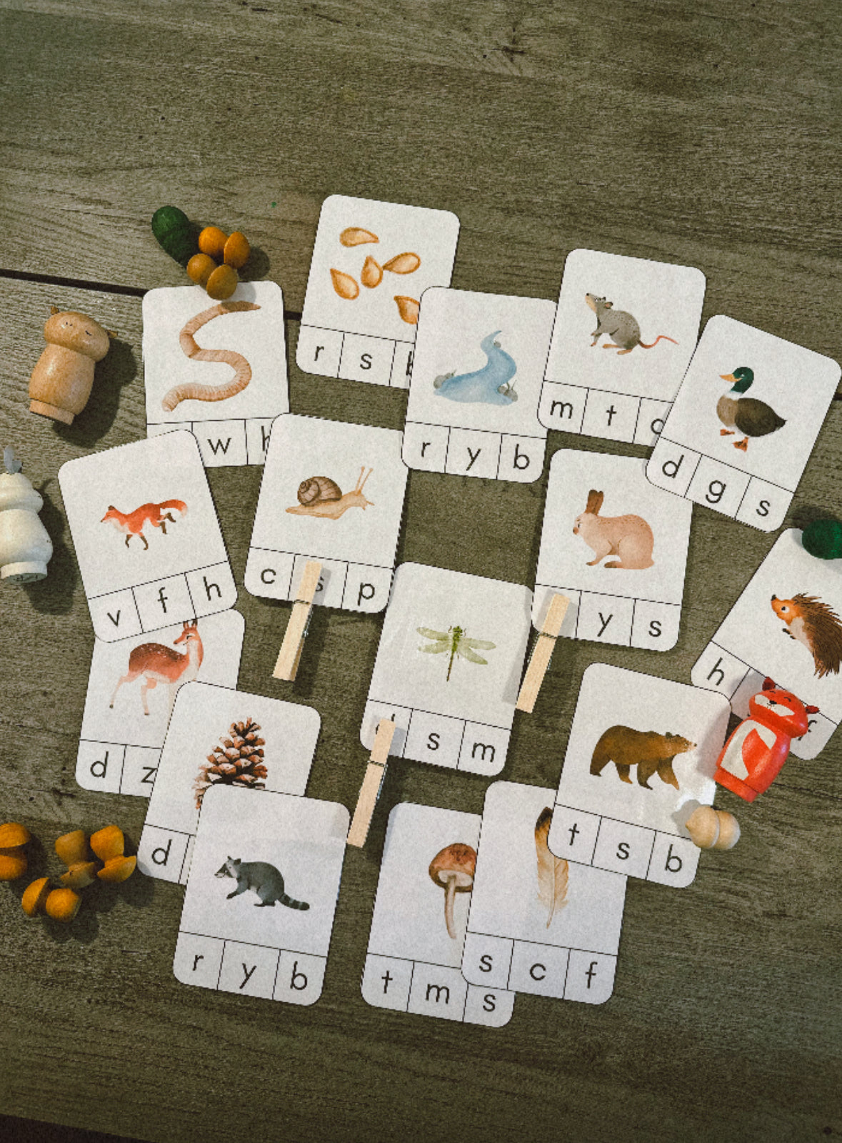 Woodland Animals - Activity Unit