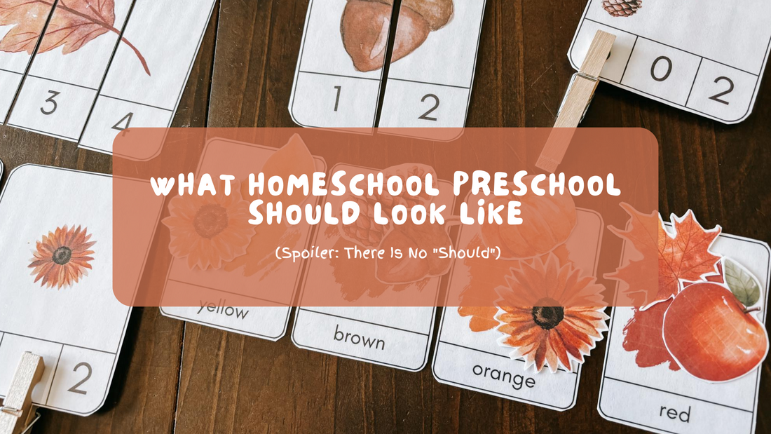 What Homeschool Preschool Should Look Like (Spoiler: There Is No "Should")