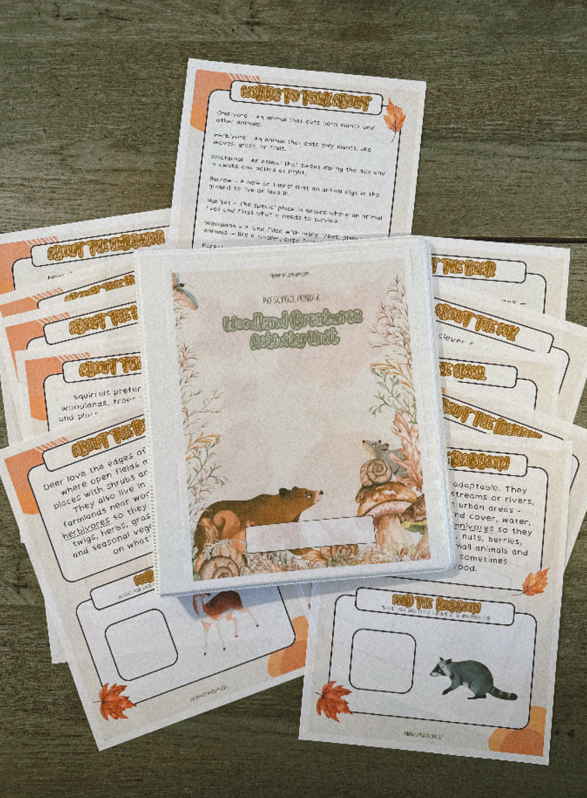 Woodland Animals - Activity Unit