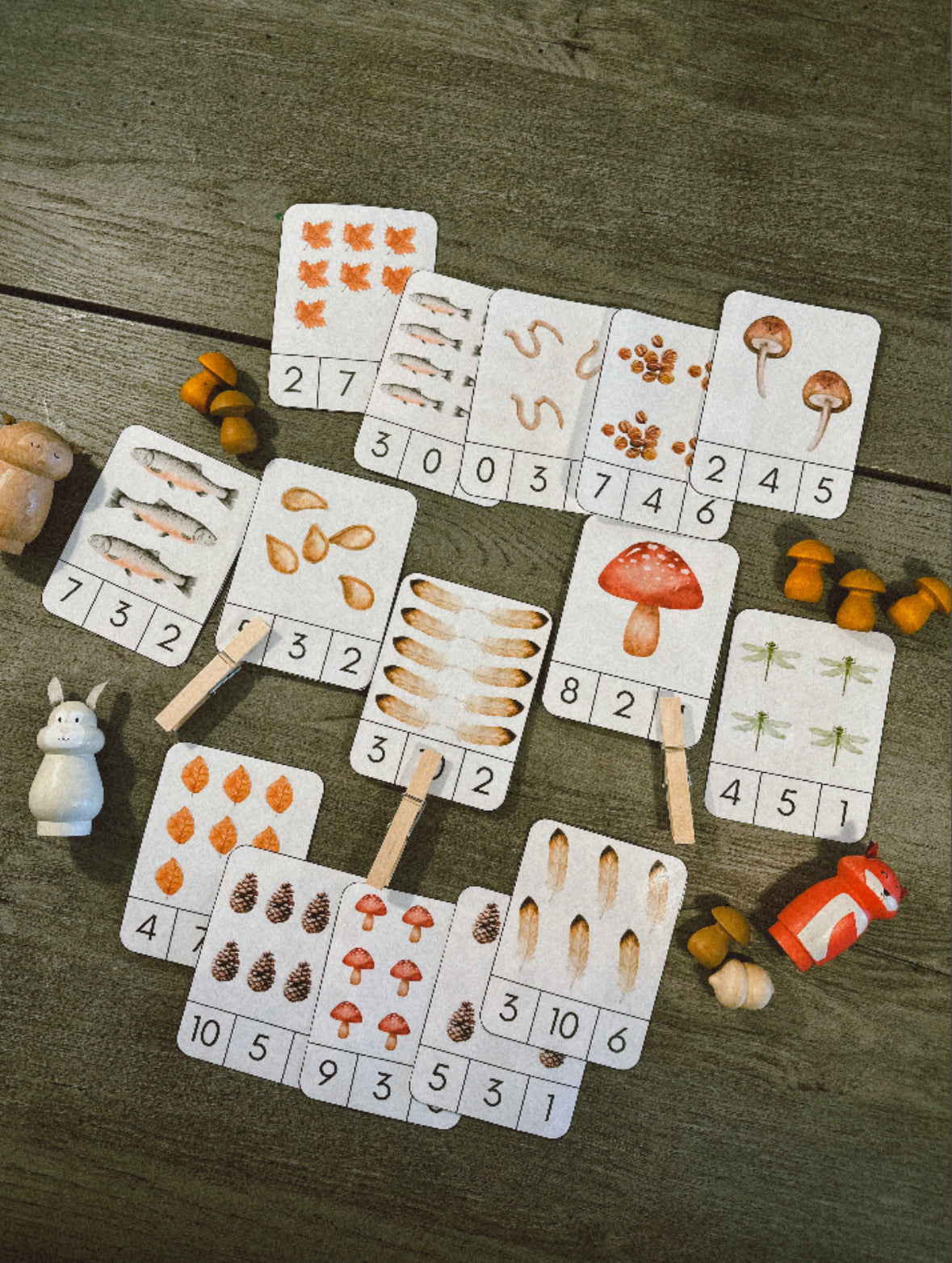 Woodland Animals - Activity Unit