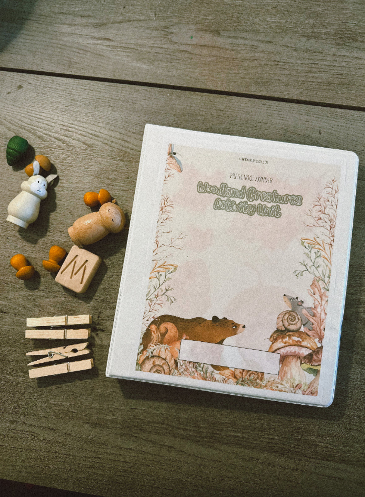 Woodland Animals - Activity Unit