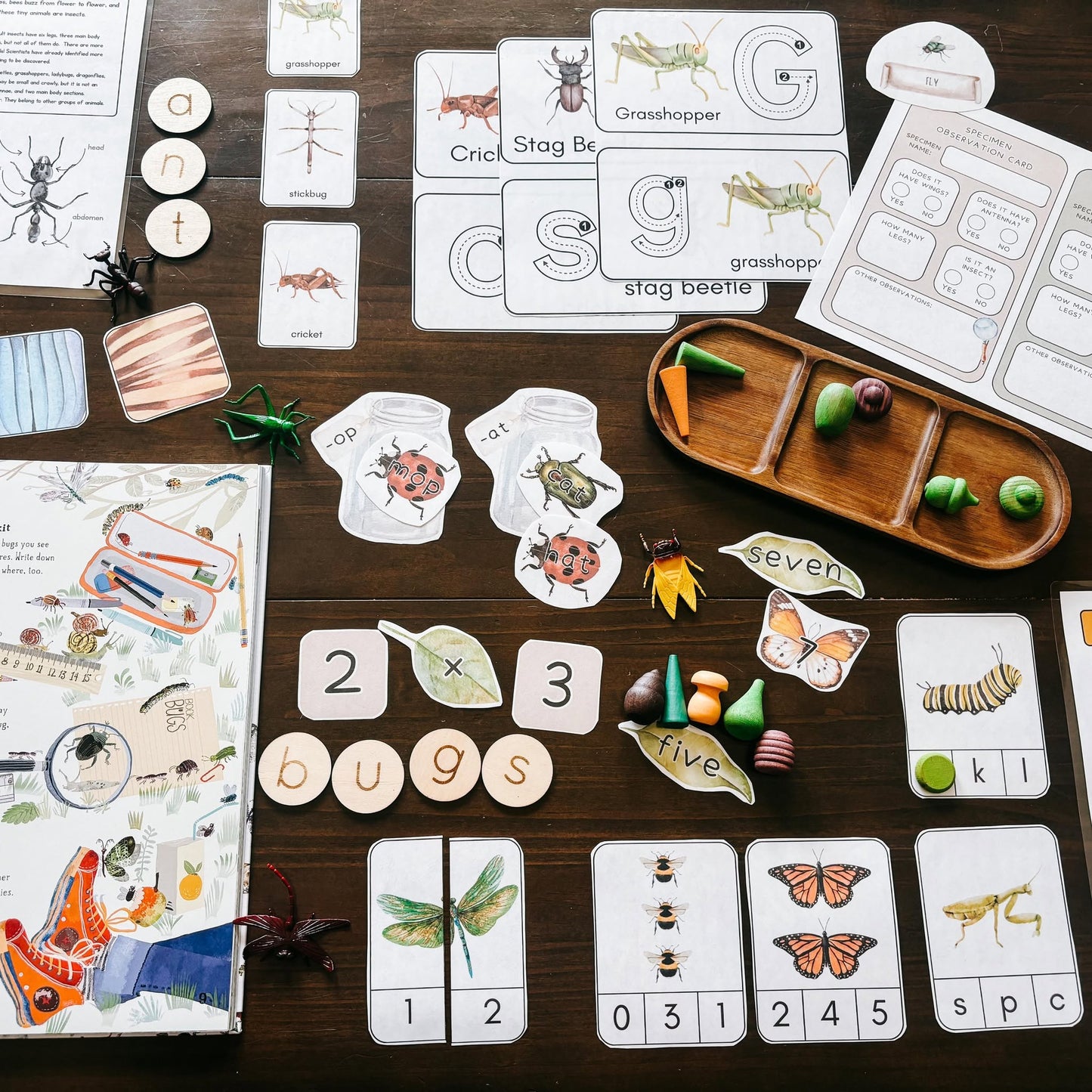 Intro to Insects Activity Unit