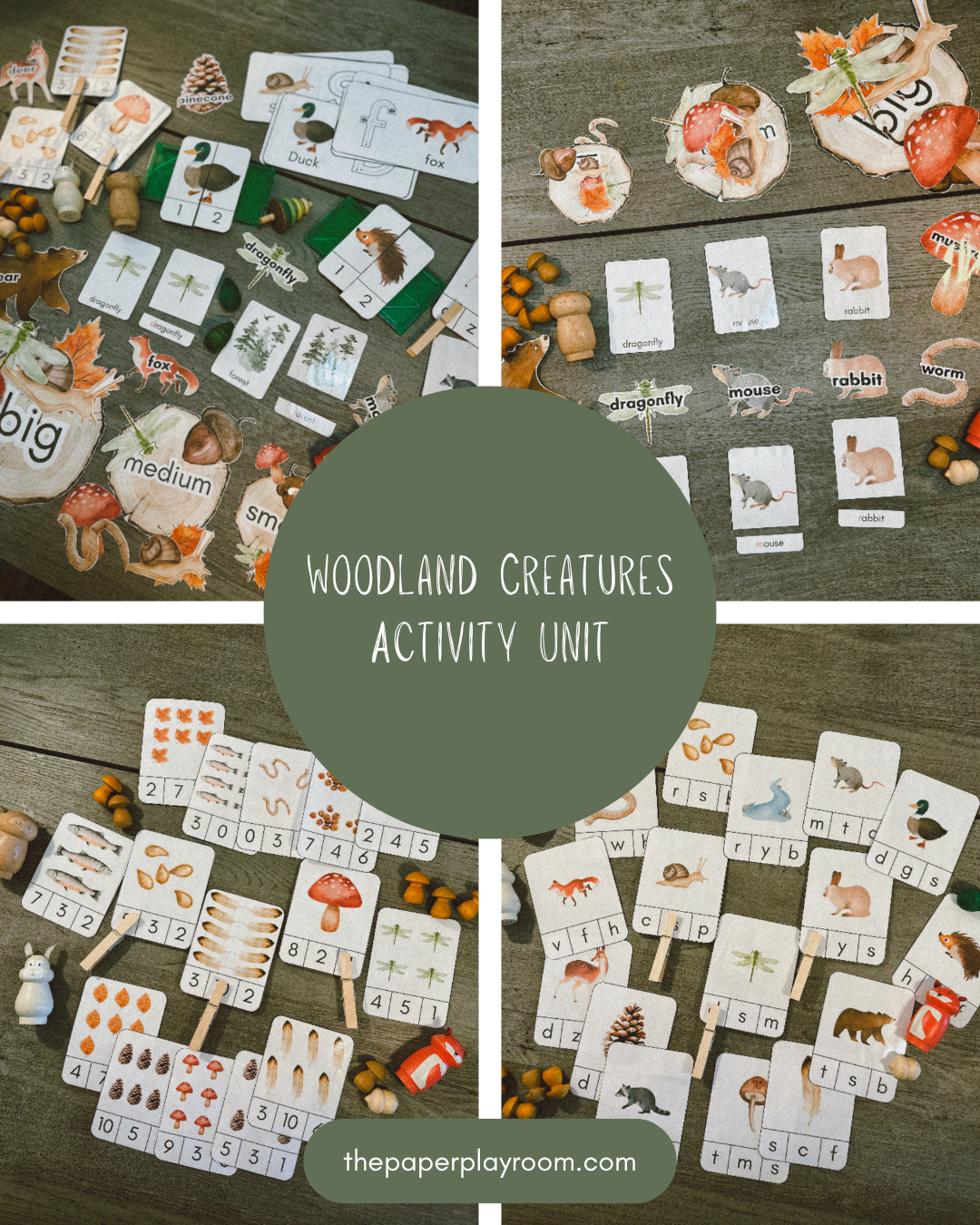 Woodland Animals - Activity Unit