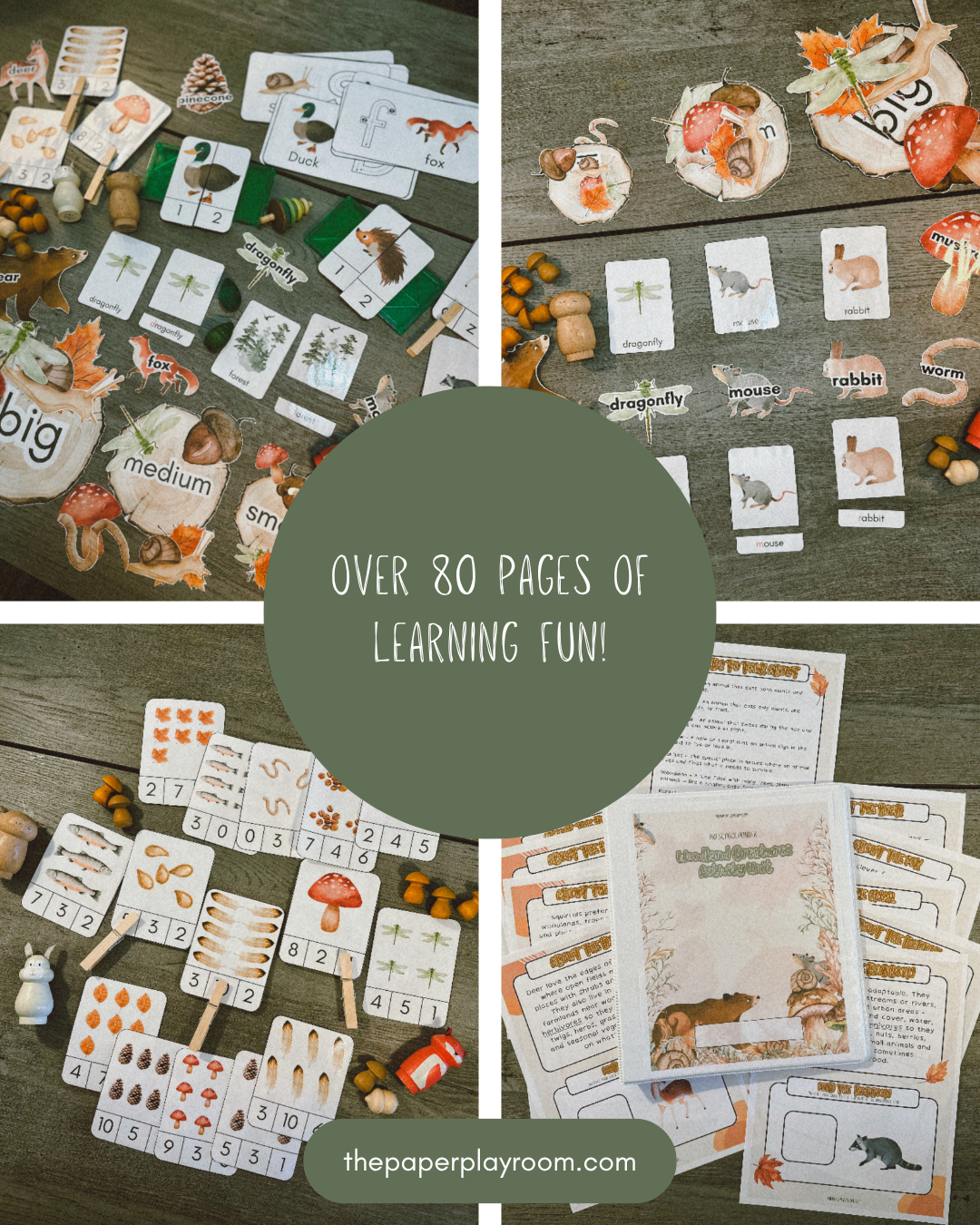 Woodland Animals - Activity Unit