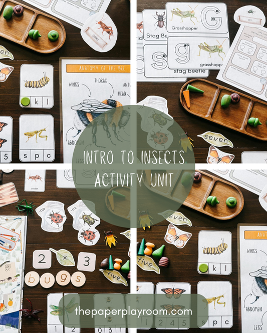 Intro to Insects Activity Unit