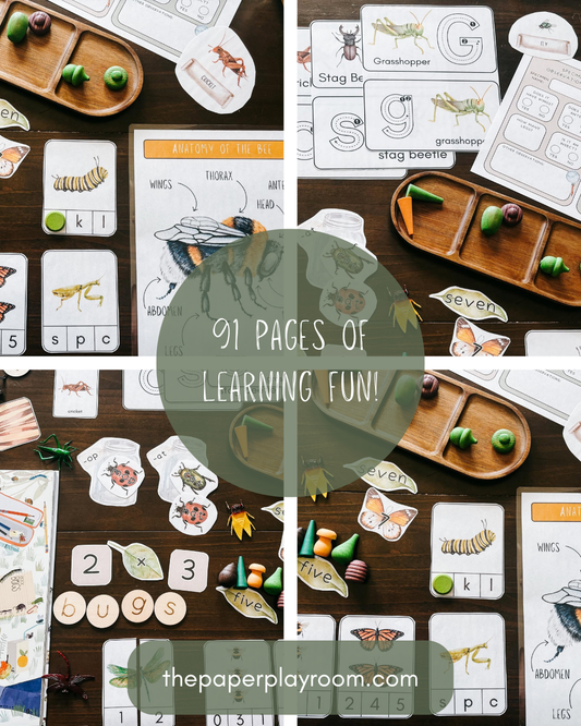 Intro to Insects Activity Unit