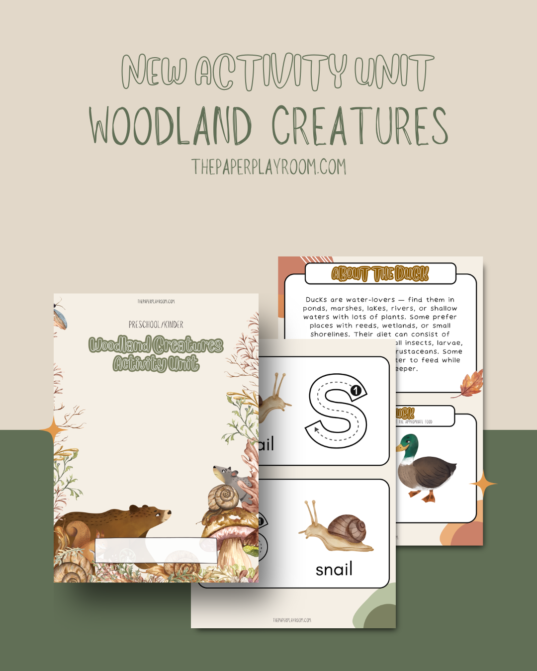 Woodland Animals - Activity Unit
