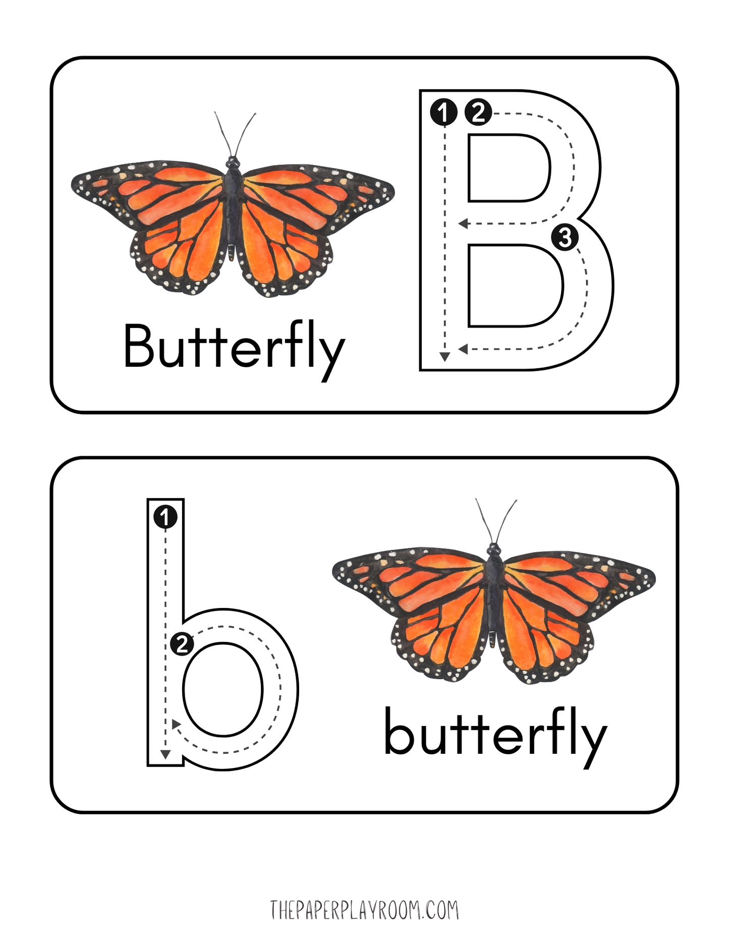 Intro to Insects Activity Unit